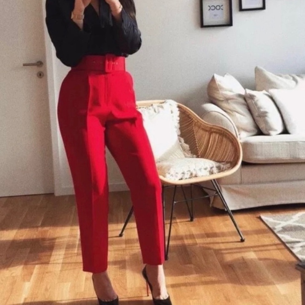 Zara HighWaist Belted Pants